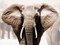 African Elephant Poster Print by Anonymous - Item # VARPDX3AP2049